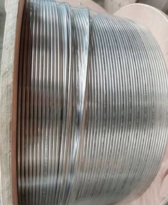 Duplex 2205 Capillary Tube